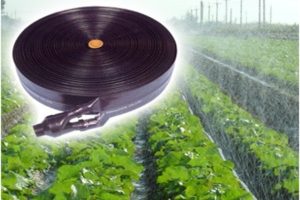 Công dụng của dây tưới phun mưa trong hệ thống tưới nông nghiệp