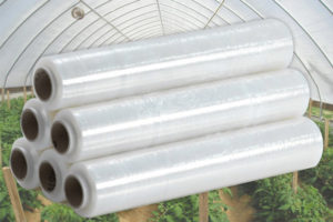 Ứng dụng của màng nhà kính trong nông nghiệp