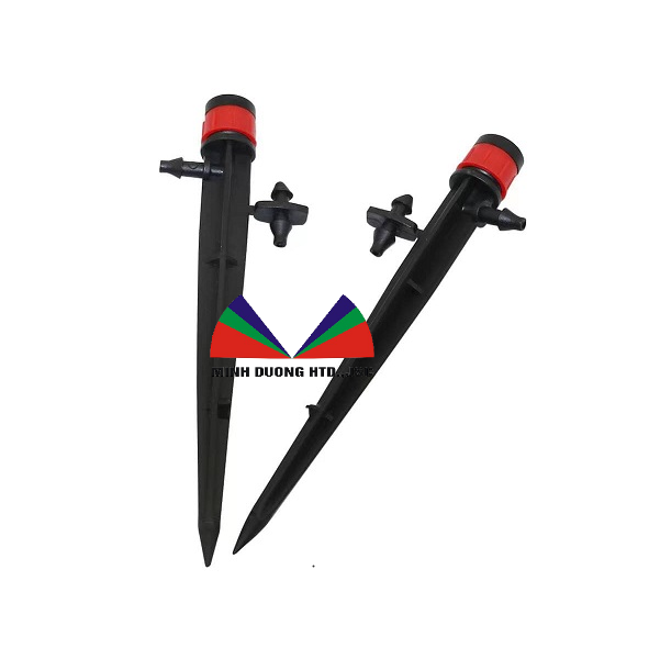 cây cắm phun sương cao 15cm